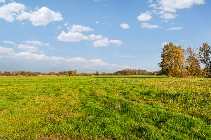 Foto 16 van Eerbeekse Hooilanden 10