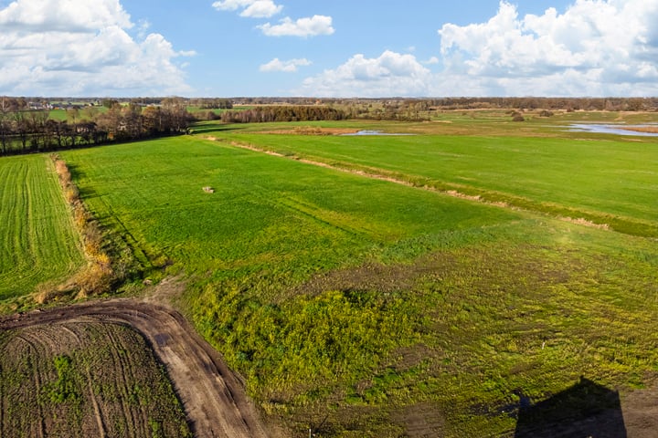 Bekijk foto 6 van Eerbeekse Hooilanden 10 (4.100 m²)