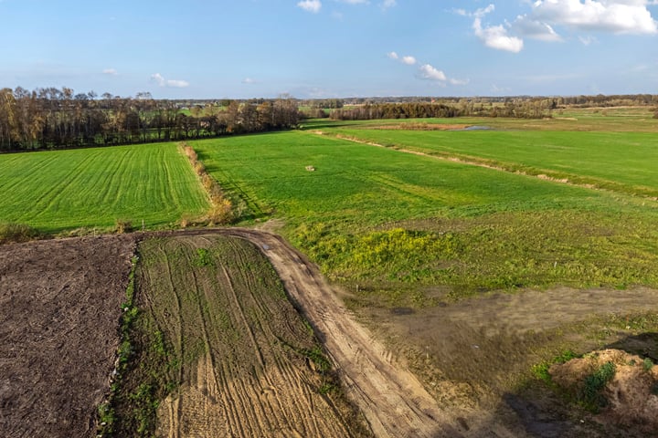 Bekijk foto 9 van Eerbeekse Hooilanden 10 (4.100 m²)