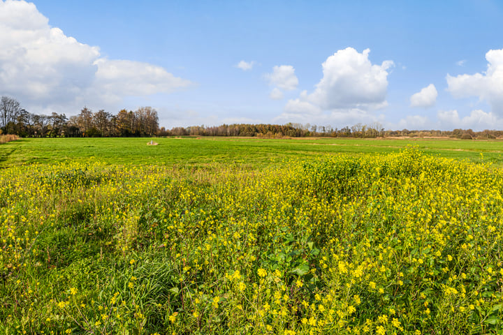 Bekijk foto 10 van Eerbeekse Hooilanden 10 (4.100 m²)