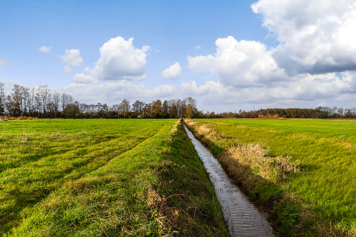 Bekijk foto 11 van Eerbeekse Hooilanden 10 (4.100 m²)