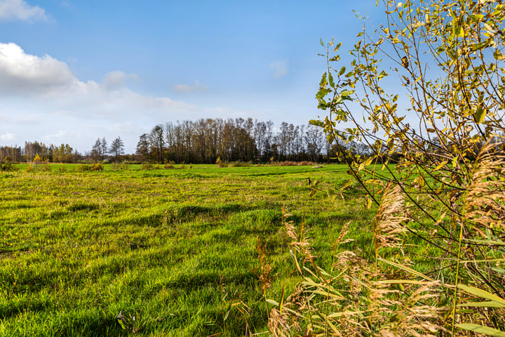 Bekijk foto 12 van Eerbeekse Hooilanden 10 (4.100 m²)