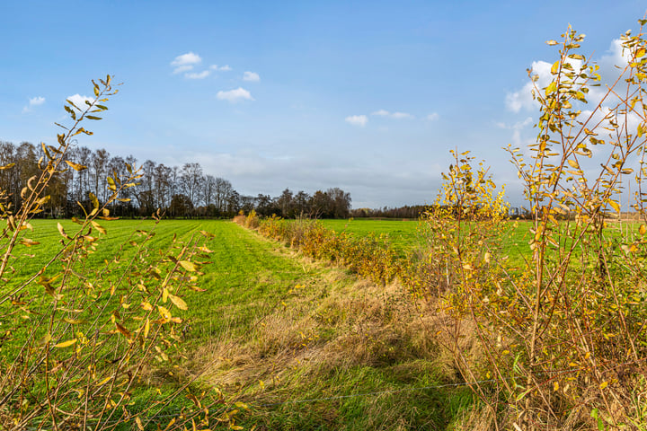 Bekijk foto 14 van Eerbeekse Hooilanden 10 (4.100 m²)