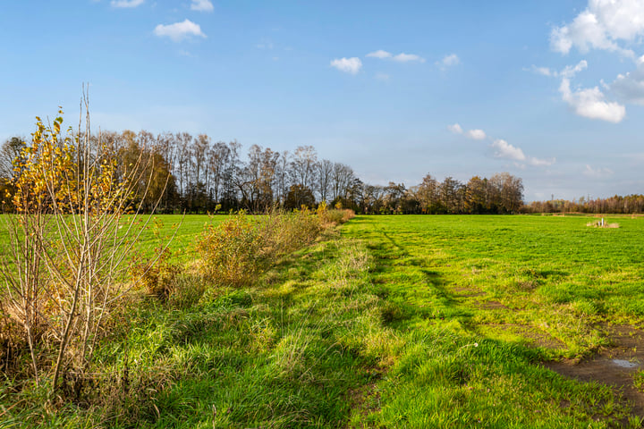 Bekijk foto 16 van Eerbeekse Hooilanden 10 (4.100 m²)