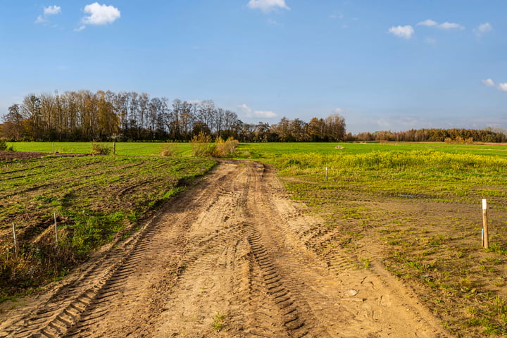 Bekijk foto 18 van Eerbeekse Hooilanden 10 (4.100 m²)