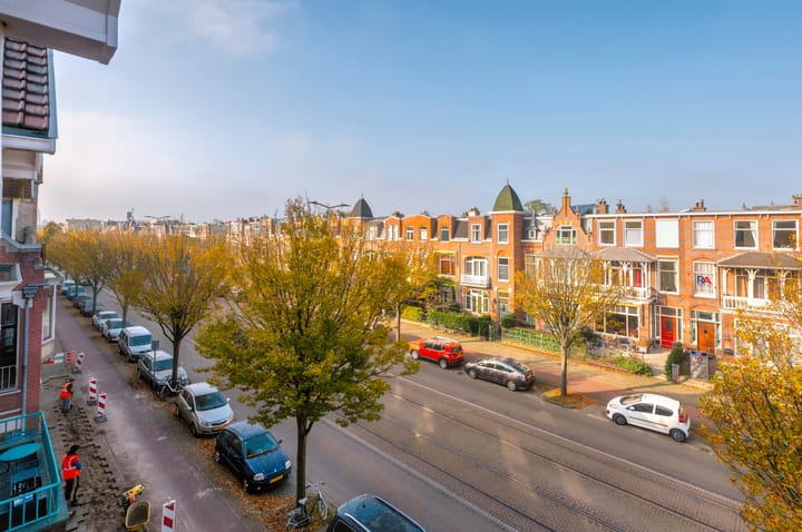 Foto 50 van Laan van Meerdervoort 352