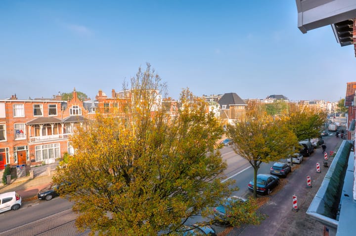 Foto 51 van Laan van Meerdervoort 352