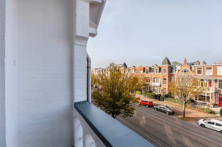 Foto 52 van Laan van Meerdervoort 352