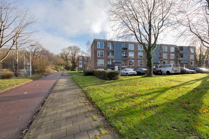 Foto 17 van Gerard Doustraat 55