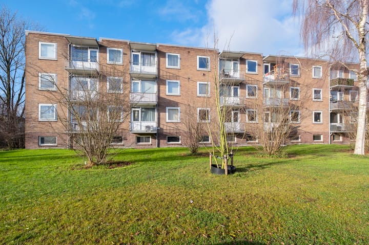 Foto 19 van Gerard Doustraat 55