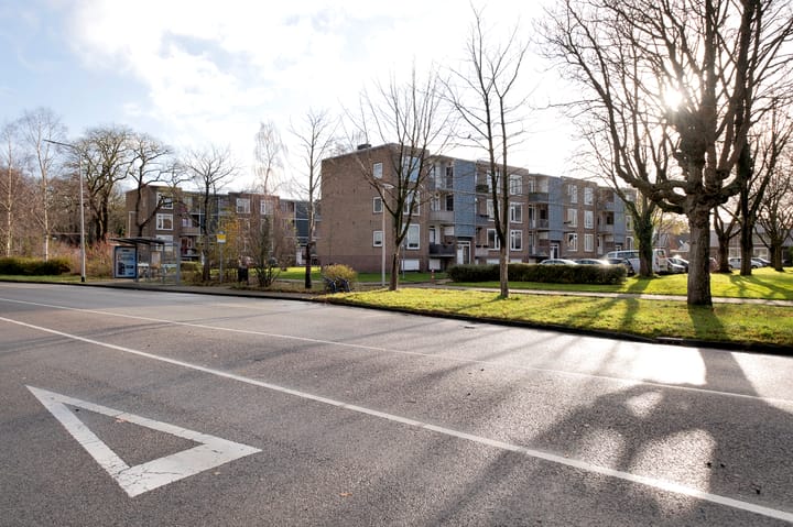 Foto 18 van Gerard Doustraat 55