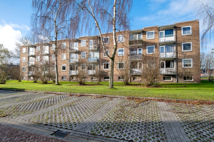 Foto 20 van Gerard Doustraat 55