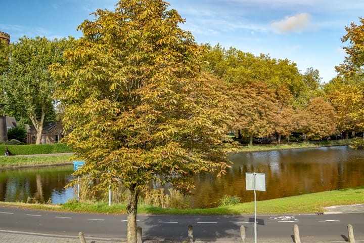 Foto 15 van Torenwal 2