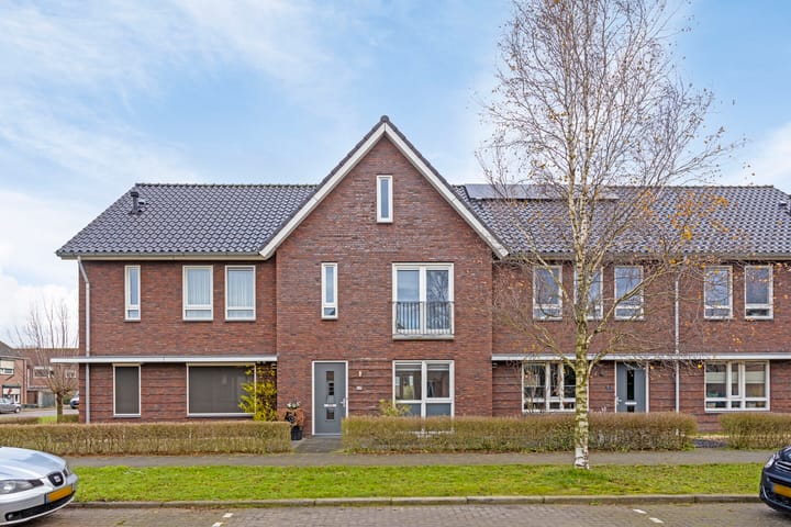 undefined main image