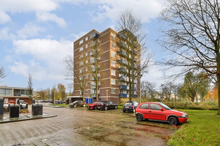 Foto 17 van Boterbloem 36