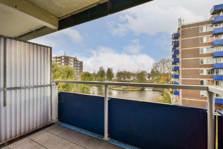 Foto 10 van Boterbloem 36