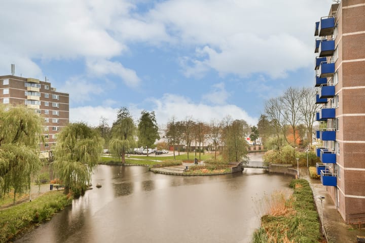 Foto 8 van Boterbloem 36