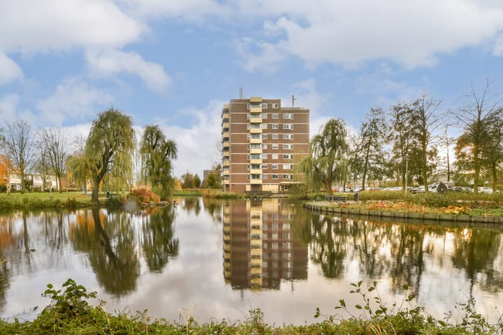 Foto 3 van Boterbloem 36