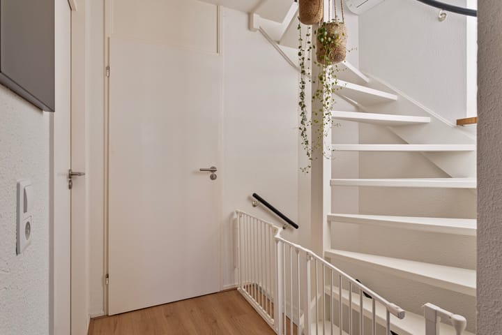 Photo 18 of Zomerland 19