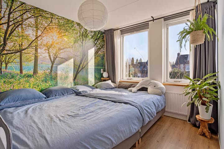 Photo 19 of Zomerland 19