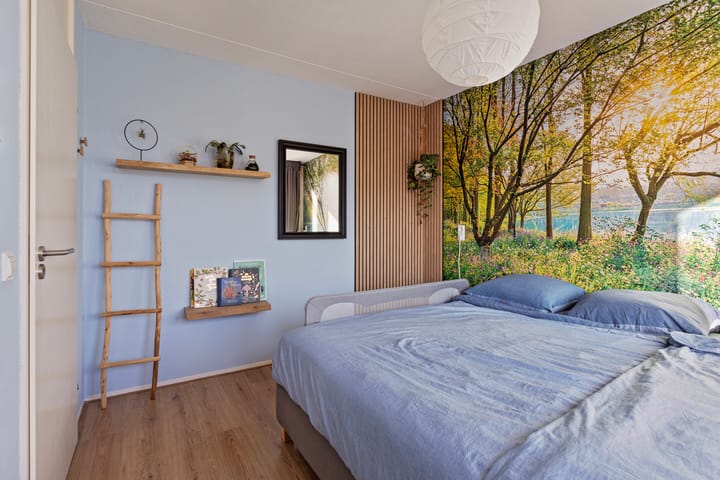 Photo 20 of Zomerland 19