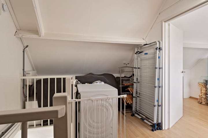 Photo 26 of Zomerland 19