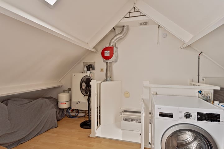 Photo 27 of Zomerland 19