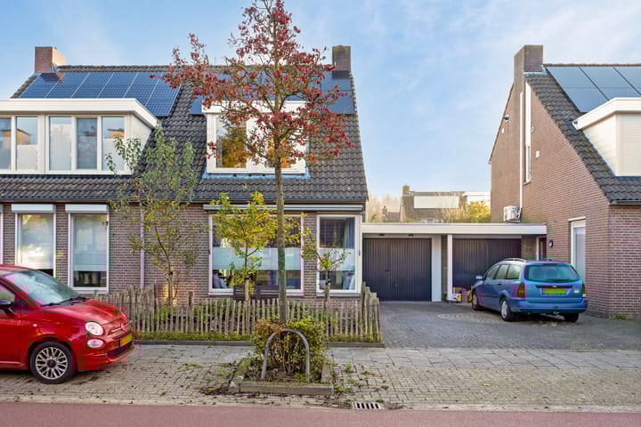 Photo 35 of Zomerland 19