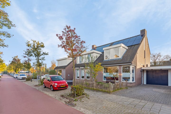 Photo 36 of Zomerland 19