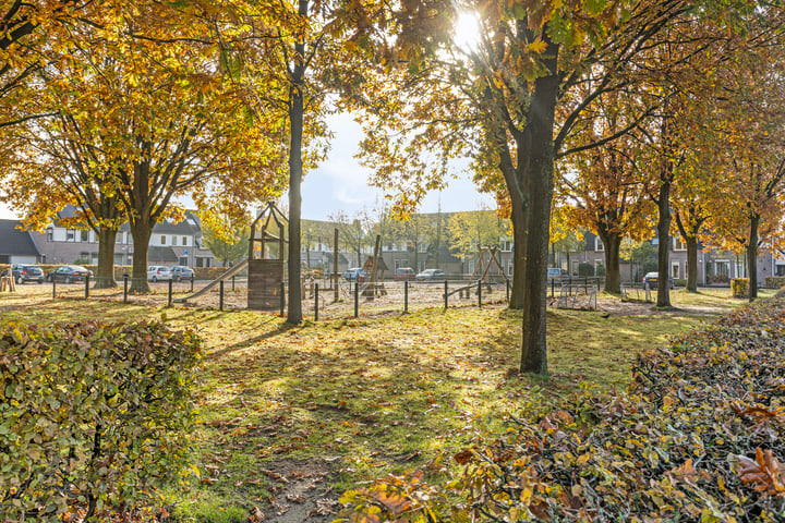 Bekijk foto 37 van Zomerland 19