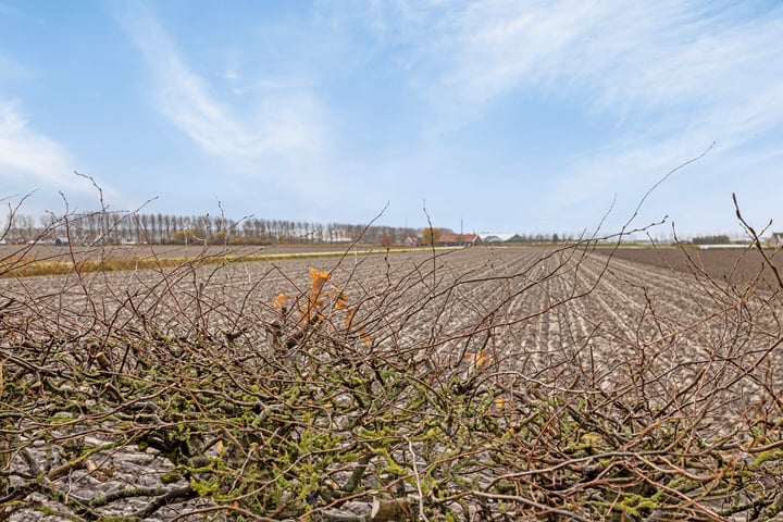 Bekijk foto 20 van Molendijk 68