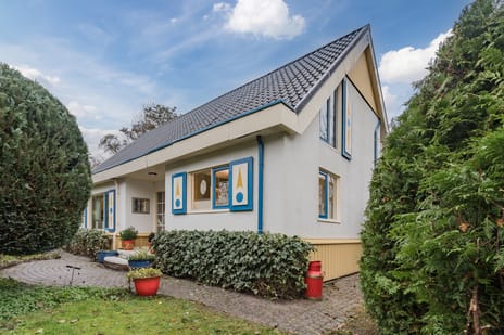 undefined main image