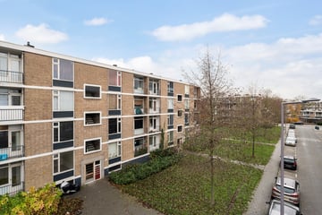 Plotinusstraat thumbnail