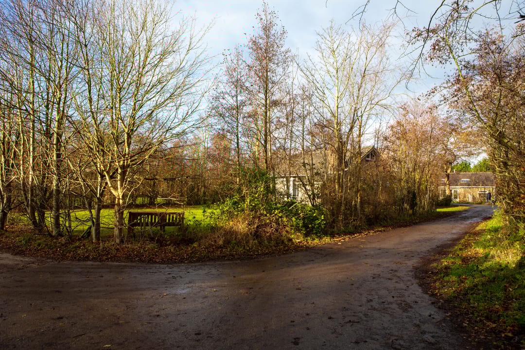 Foto 22 van Duinweg Midsland 16