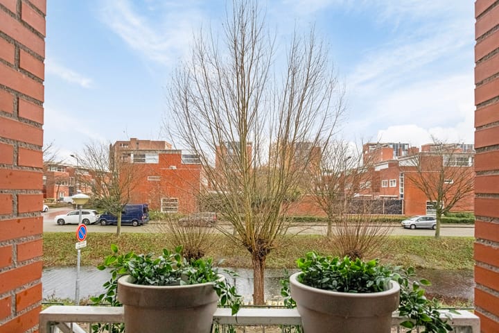 Foto 19 van Schout van der Dussensingel 61