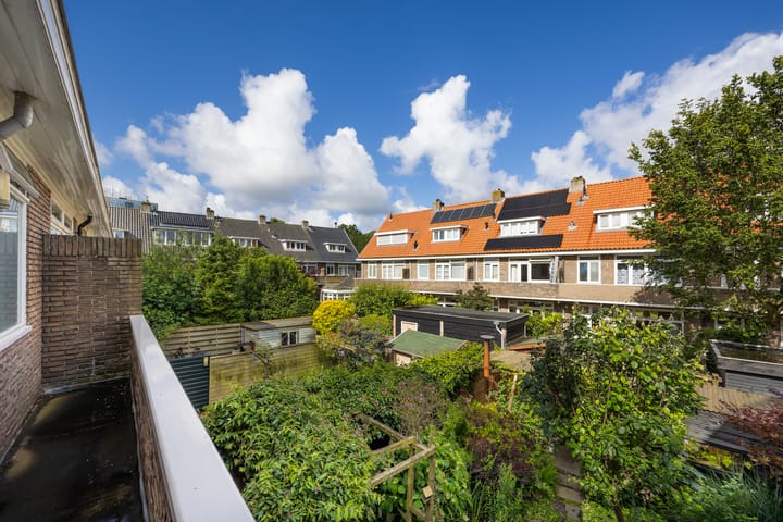 Foto 17 van Leidsevaartweg 119