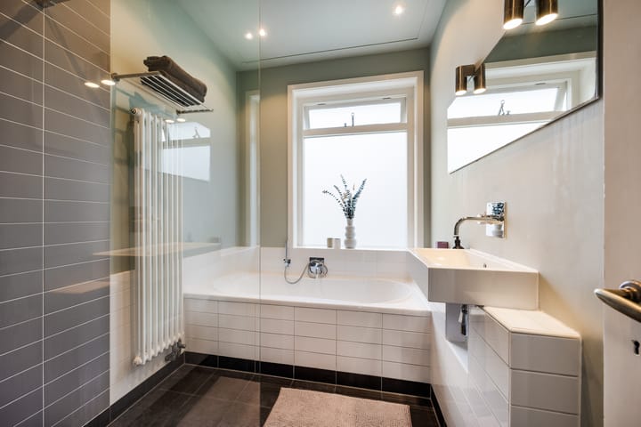 Foto 22 van Leidsevaartweg 119