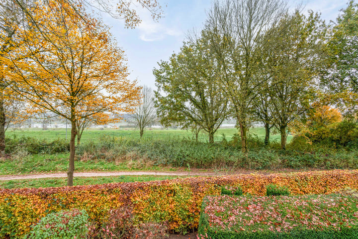 Bekijk foto 18 van Traianuslaan 9