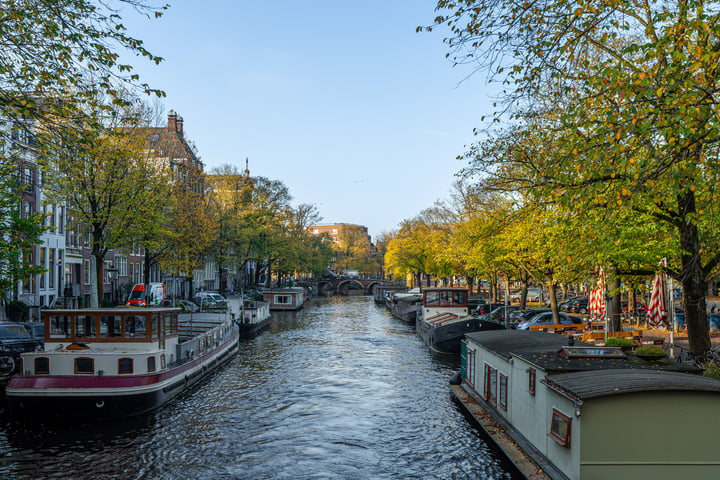 Bekijk foto 10 van Utrechtsestraat 88-D