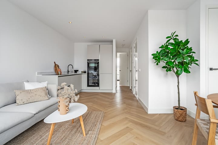 Foto 2 van Van Ostadestraat 139-3