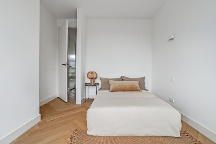 Foto 13 van Van Ostadestraat 139-3