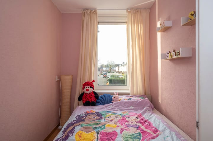 Foto 17 van Buizerdhorst 18