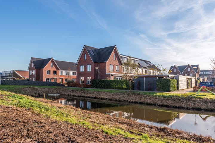 Foto 2 van Zeekool 2