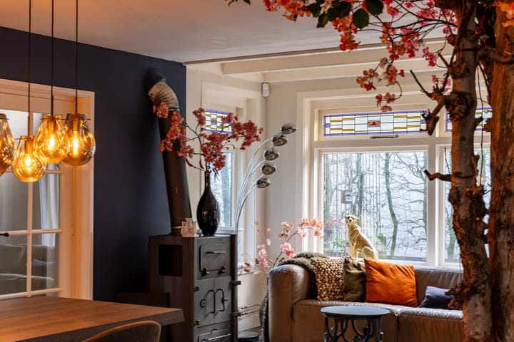 Photo 41 of Achterdijk 40