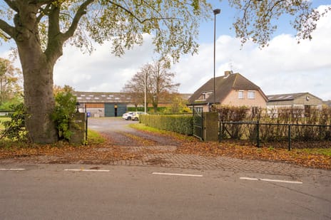 undefined main image