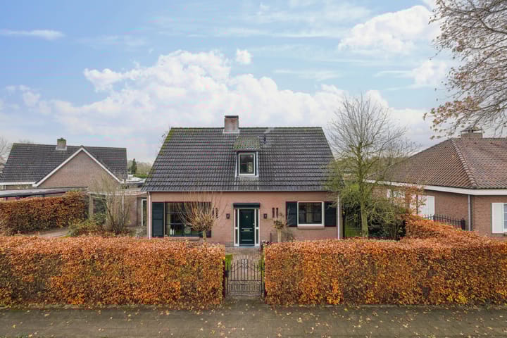 undefined main image