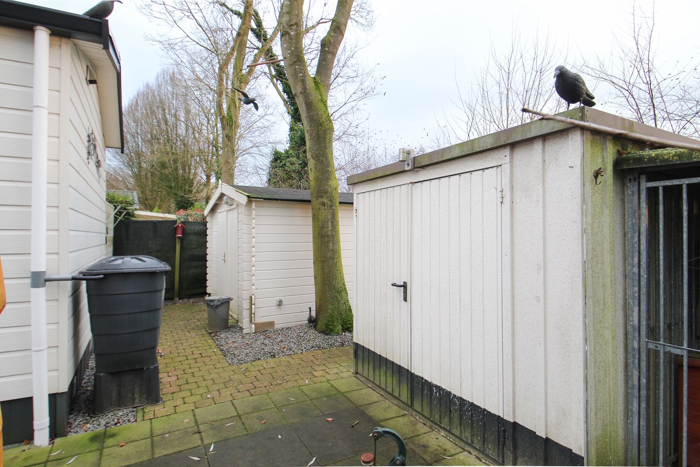 Foto 20 van Dennendreef 5-231