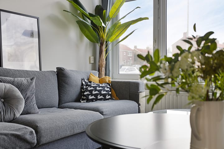 Foto 9 van Ida van Tiarastrjitte 8