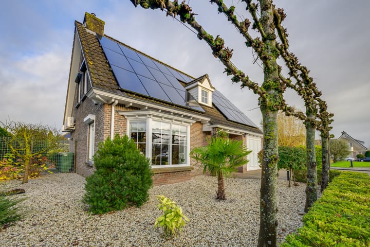 Foto 7 van Meerkoet 10