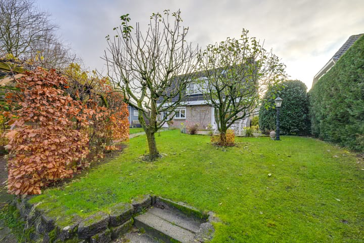 Foto 4 van Meerkoet 10